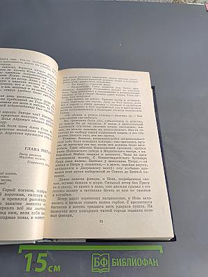 Волшебник из Гель-Гью. Под флагом Катрионы