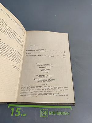 Мужики и бабы. Книга вторая