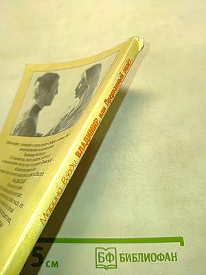 Владимир, или Прерванный полет