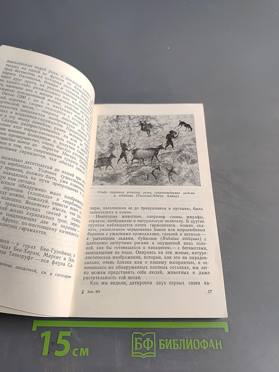 Цивилизации Сахары. Десять тысячелетий истории, культуры и торговли