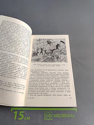 Цивилизации Сахары. Десять тысячелетий истории, культуры и торговли