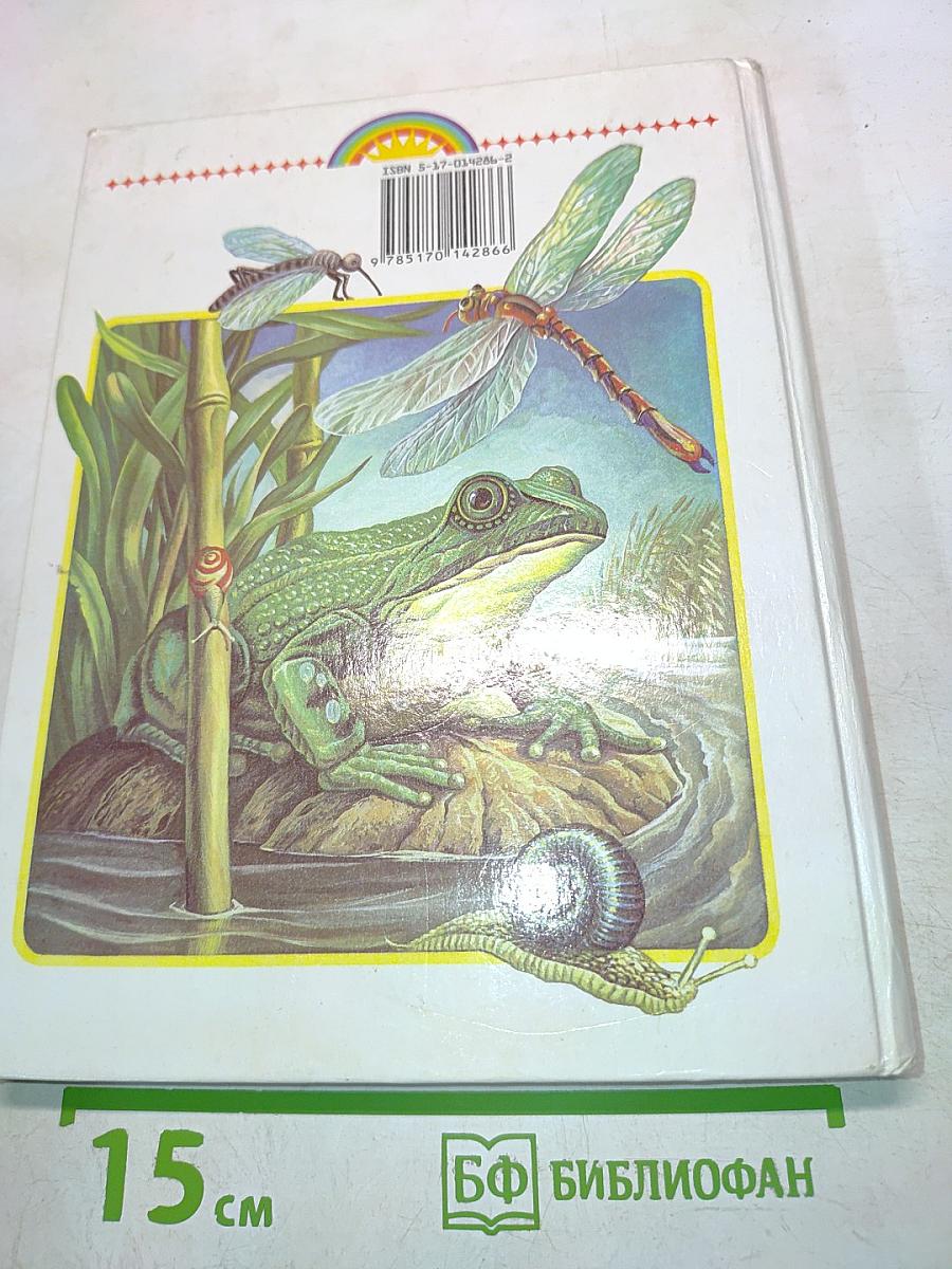 Родничок. Книга для внеклассного чтения. 2 класс