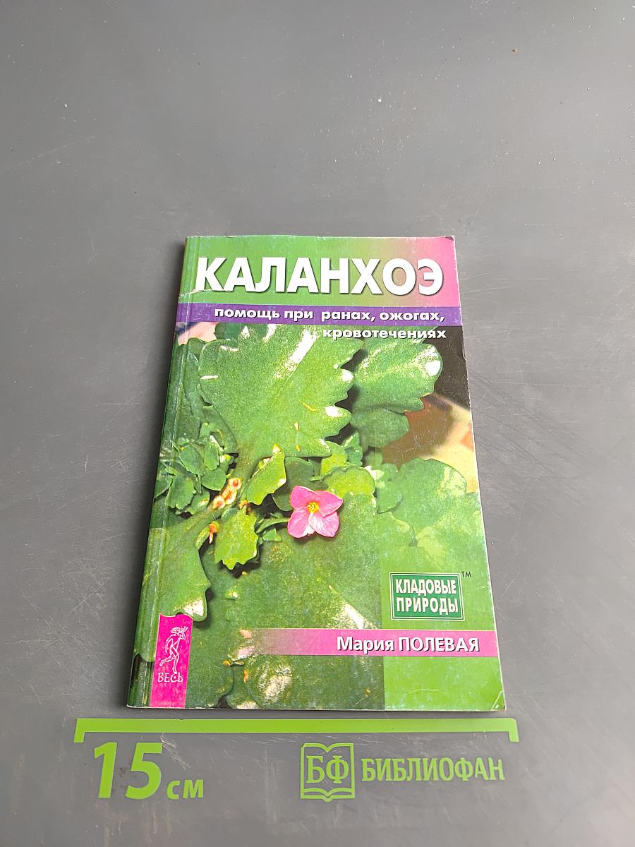 Каланхоэ помощь при ранах, ожогах, кровотечениях