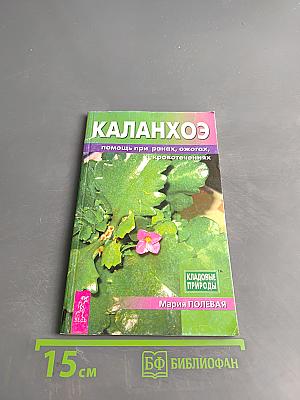 Каланхоэ помощь при ранах, ожогах, кровотечениях
