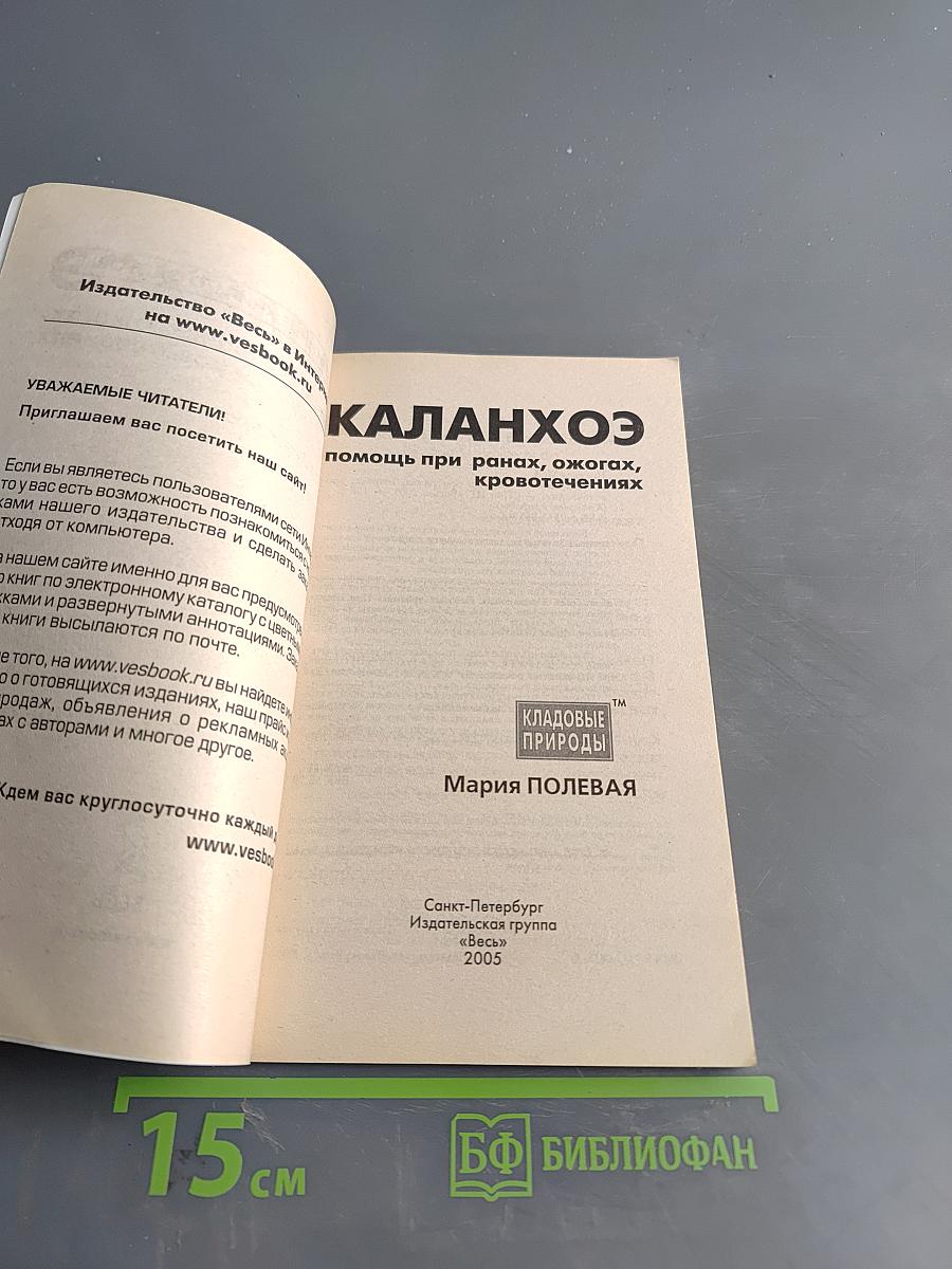 Каланхоэ помощь при ранах, ожогах, кровотечениях