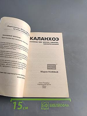Каланхоэ помощь при ранах, ожогах, кровотечениях