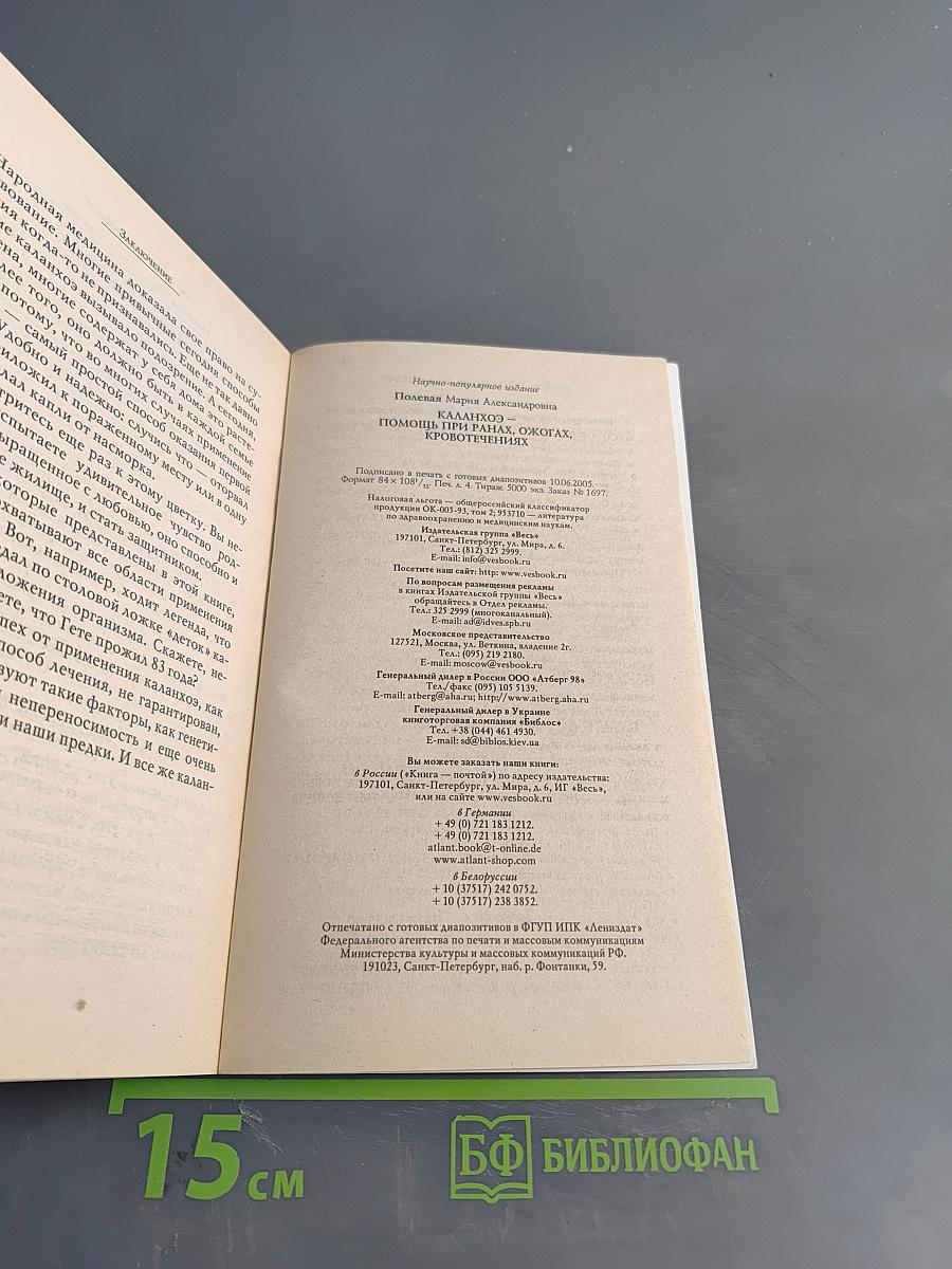 Каланхоэ помощь при ранах, ожогах, кровотечениях