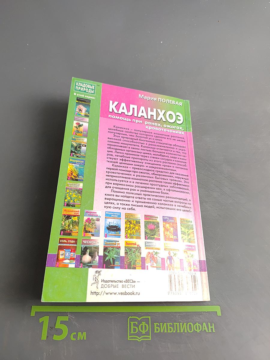 Каланхоэ помощь при ранах, ожогах, кровотечениях
