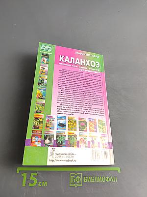 Каланхоэ помощь при ранах, ожогах, кровотечениях