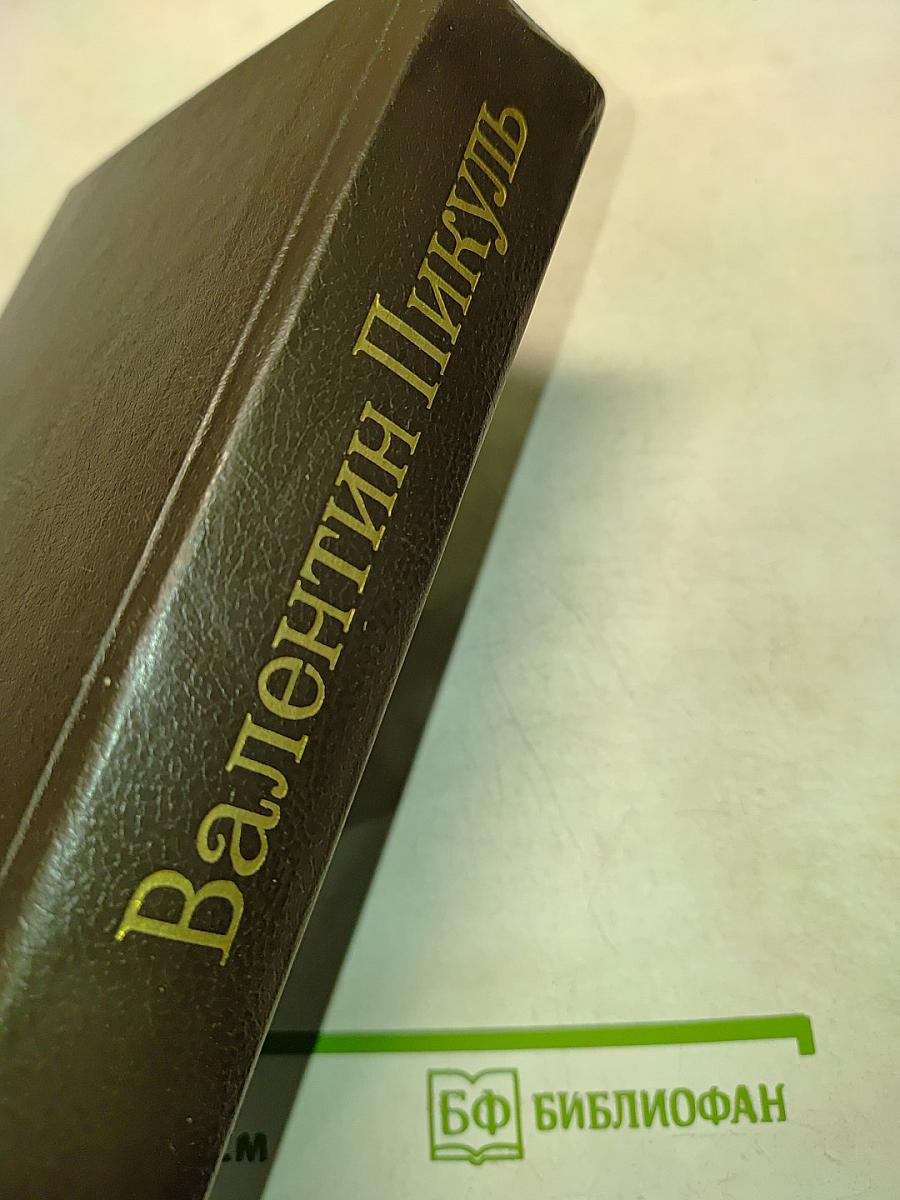 Слово и дело. Том I. Книга вторая. Мои любезные конфиденты