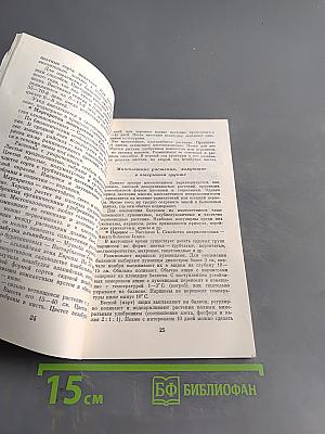 Озеленение балконов