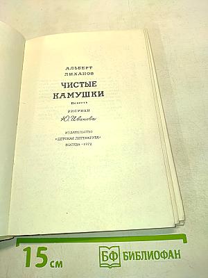 Чистые камушки