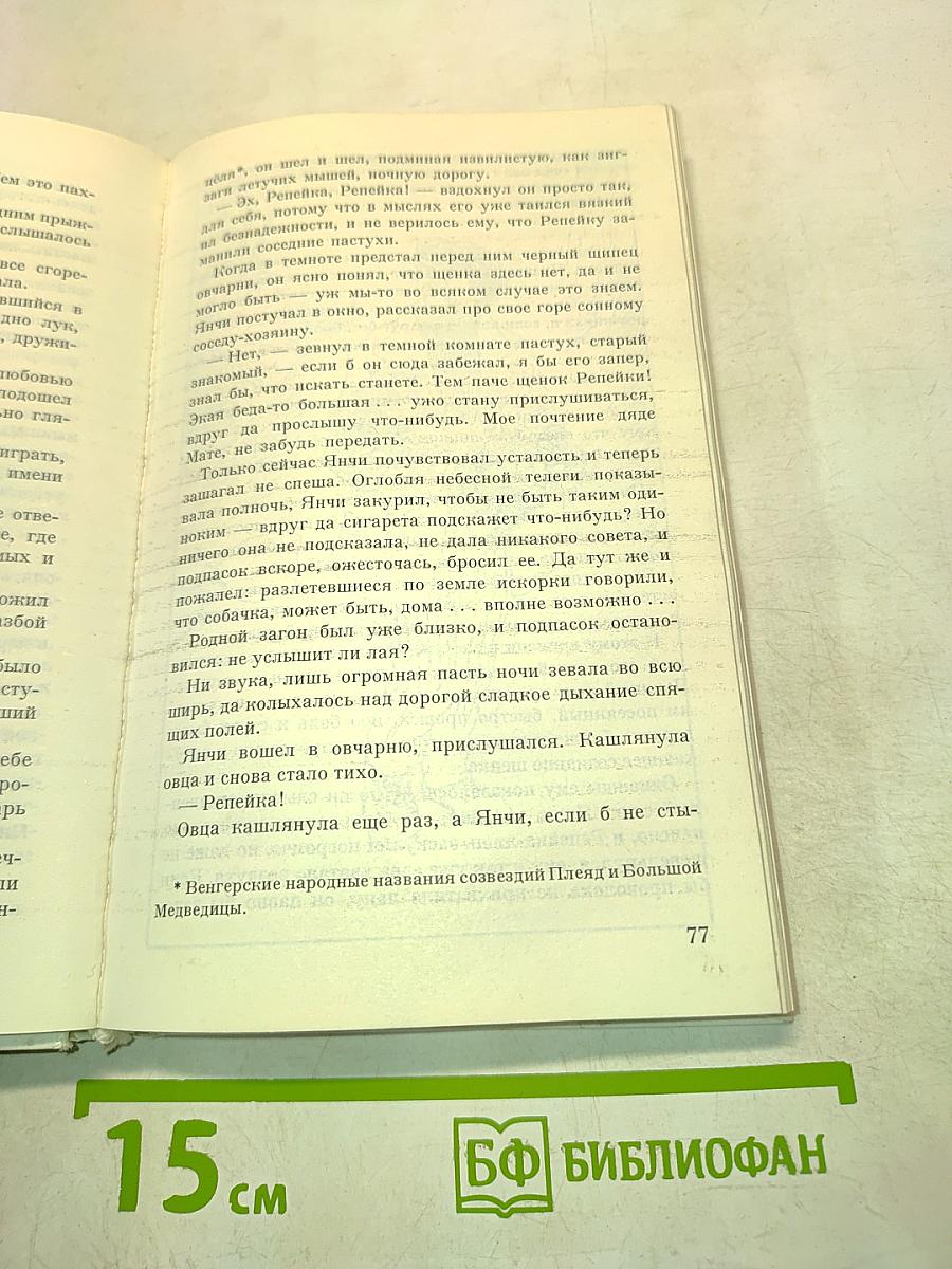 Репейка