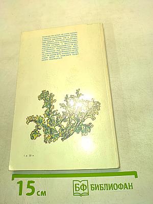 Растения – друзья здоровья