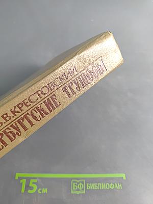 Петербургские трущобы. Книга первая