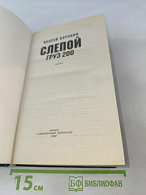 Слепой. Груз 200