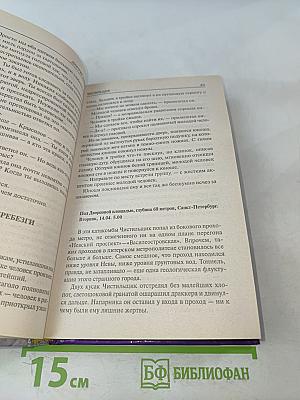 Чистильщик