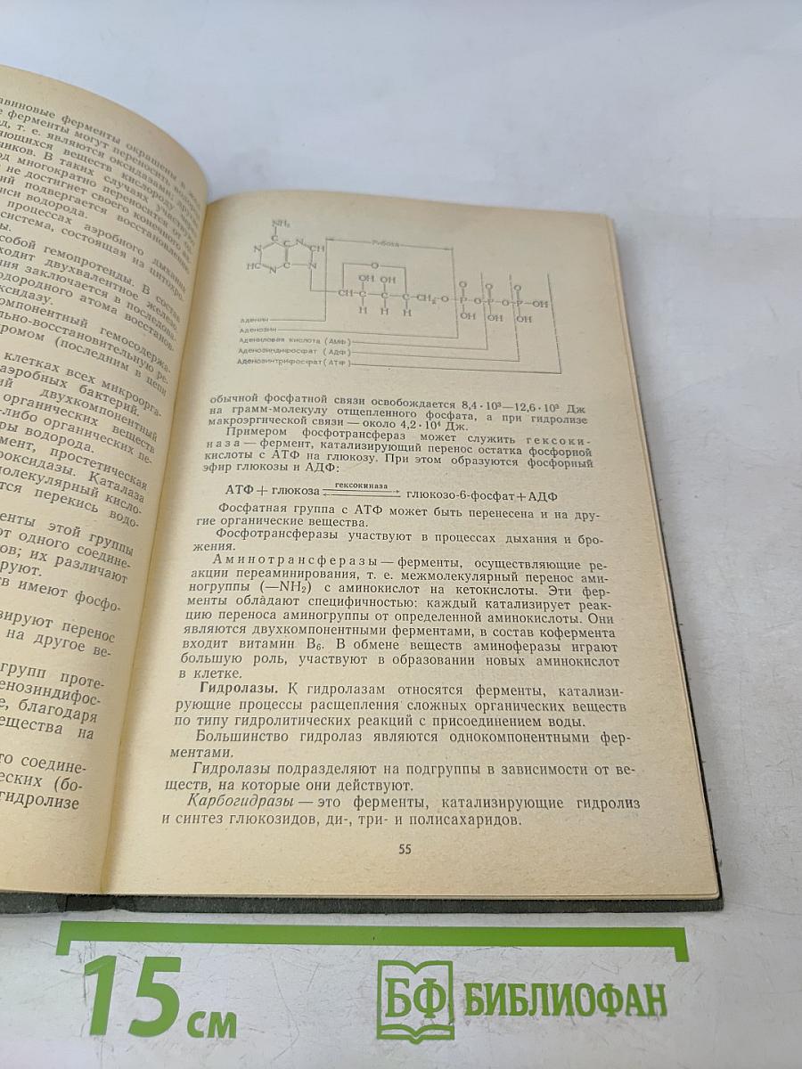 Микробиология