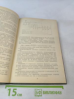 Микробиология