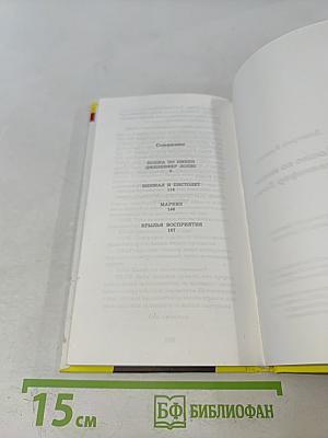 Кошка по имени Дженнифер Лопес