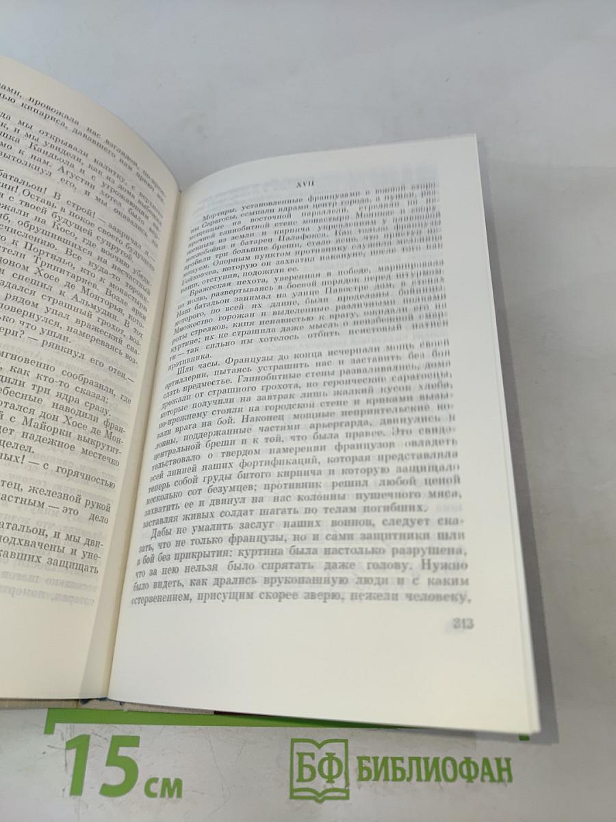 Двор Карла IV. Сарагоса
