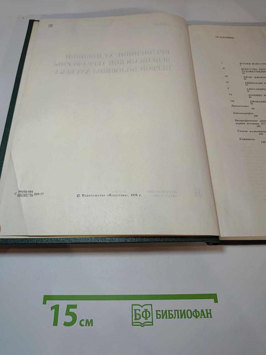 Крупнейшие художники венецианской терра-фермы первой половины XVI века