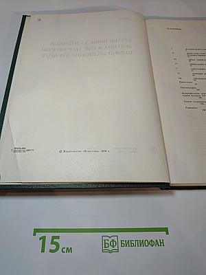 Крупнейшие художники венецианской терра-фермы первой половины XVI века