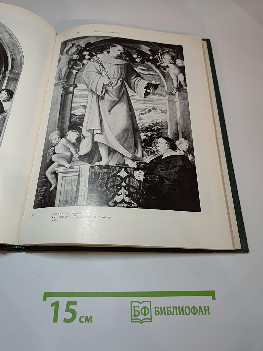 Крупнейшие художники венецианской терра-фермы первой половины XVI века