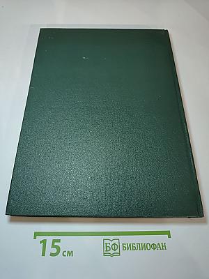 Крупнейшие художники венецианской терра-фермы первой половины XVI века