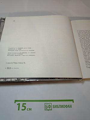Мосты повисли над водами... / And Bridges Spanned the Waters' Width...