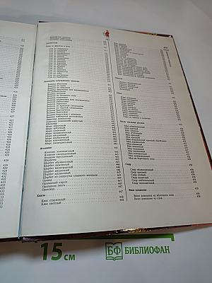 Русское застолье: 1000 блюд