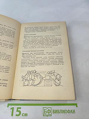Домашняя всезнайка. Советы работающей женщине