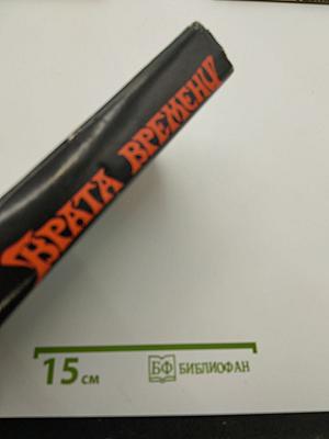 Врата Времени. Книга третья