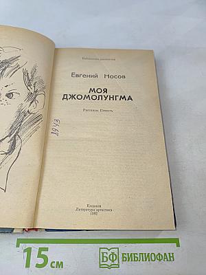 Моя Джомолунгма