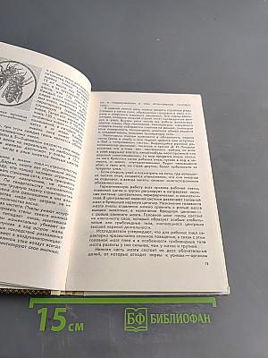 Продукты пчеловодства и их использование