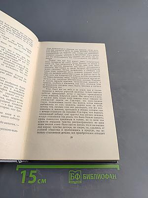 Собрание сочинений. Том четвертый. Проза. Письма