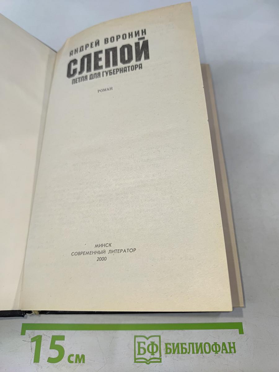 Слепой. Петля для губернатора