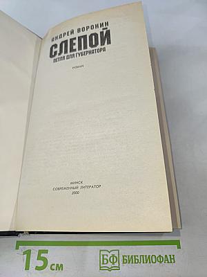 Слепой. Петля для губернатора