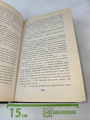 Слепой. Петля для губернатора