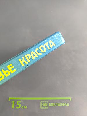 Быт, здоровье, красота