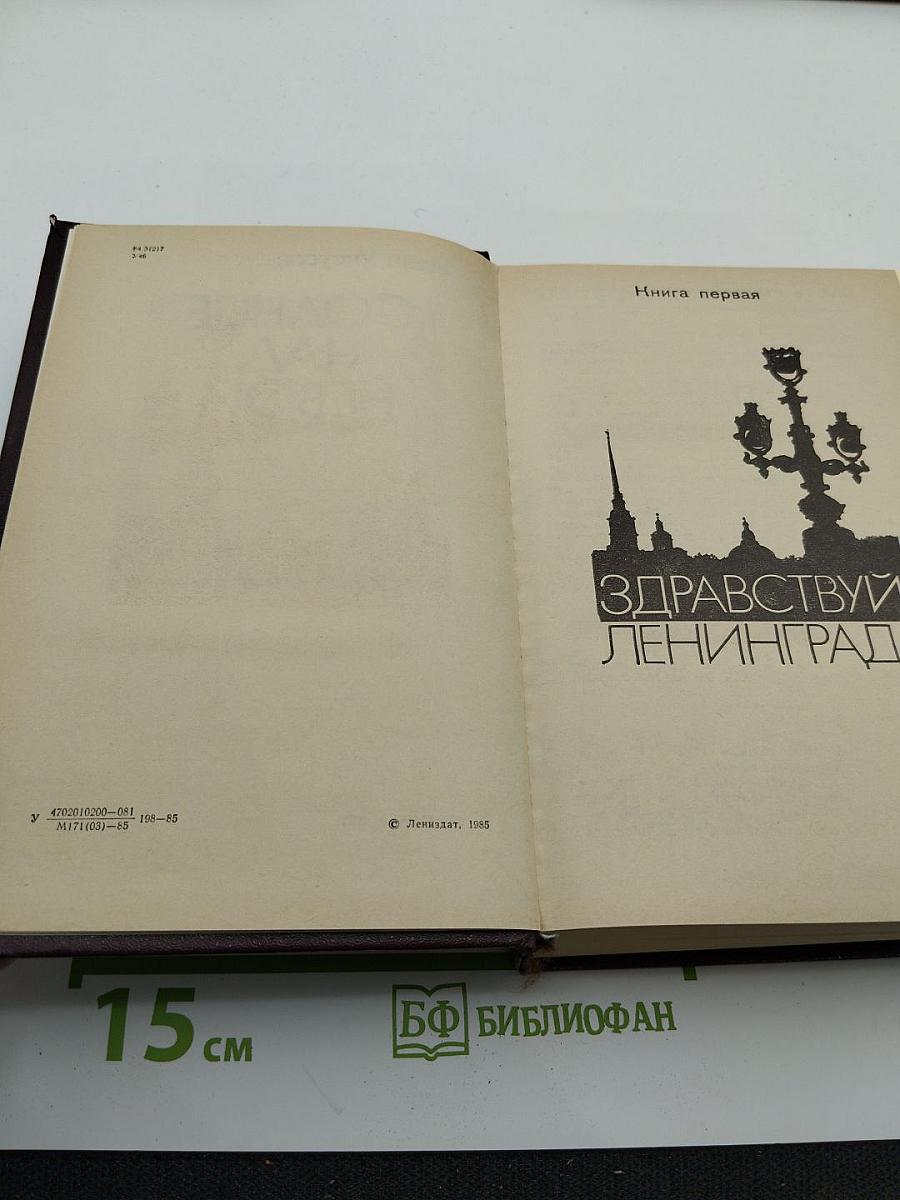 Солнце над Невой. Книга первая