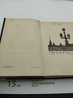 Солнце над Невой. Книга первая