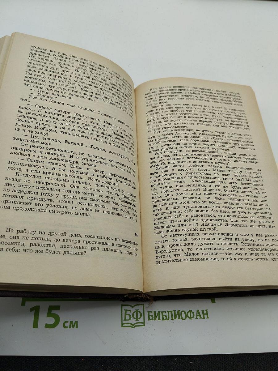 Солнце над Невой. Книга первая