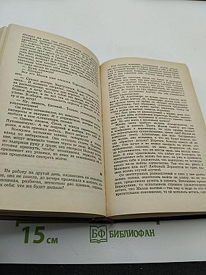 Солнце над Невой. Книга первая