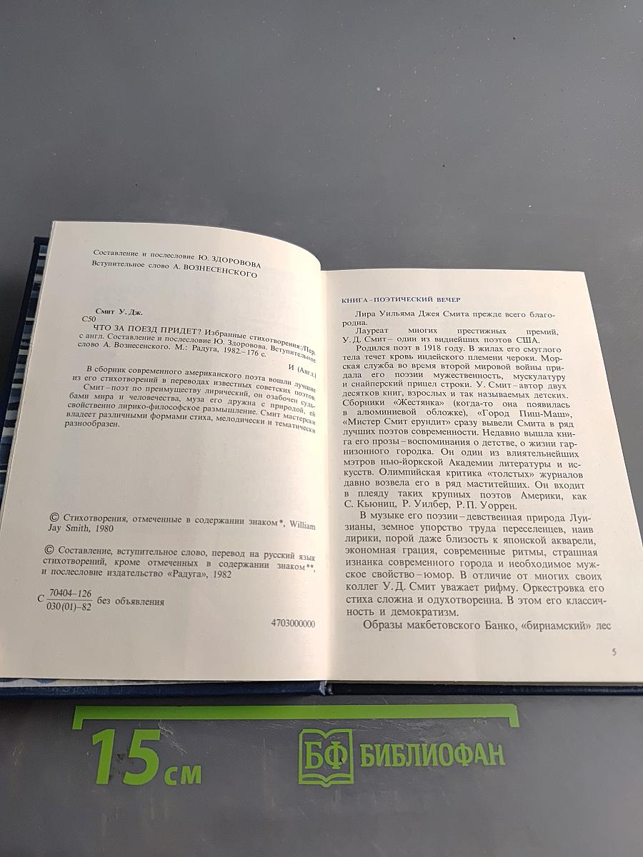Что за поезд придет?