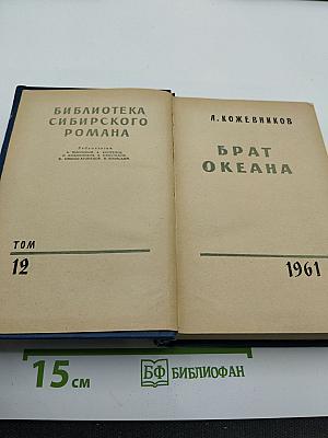 Брат Океана