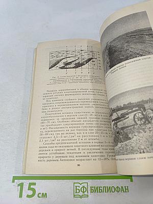 Яблоня на Северо-Западе Нечерноземной зоны