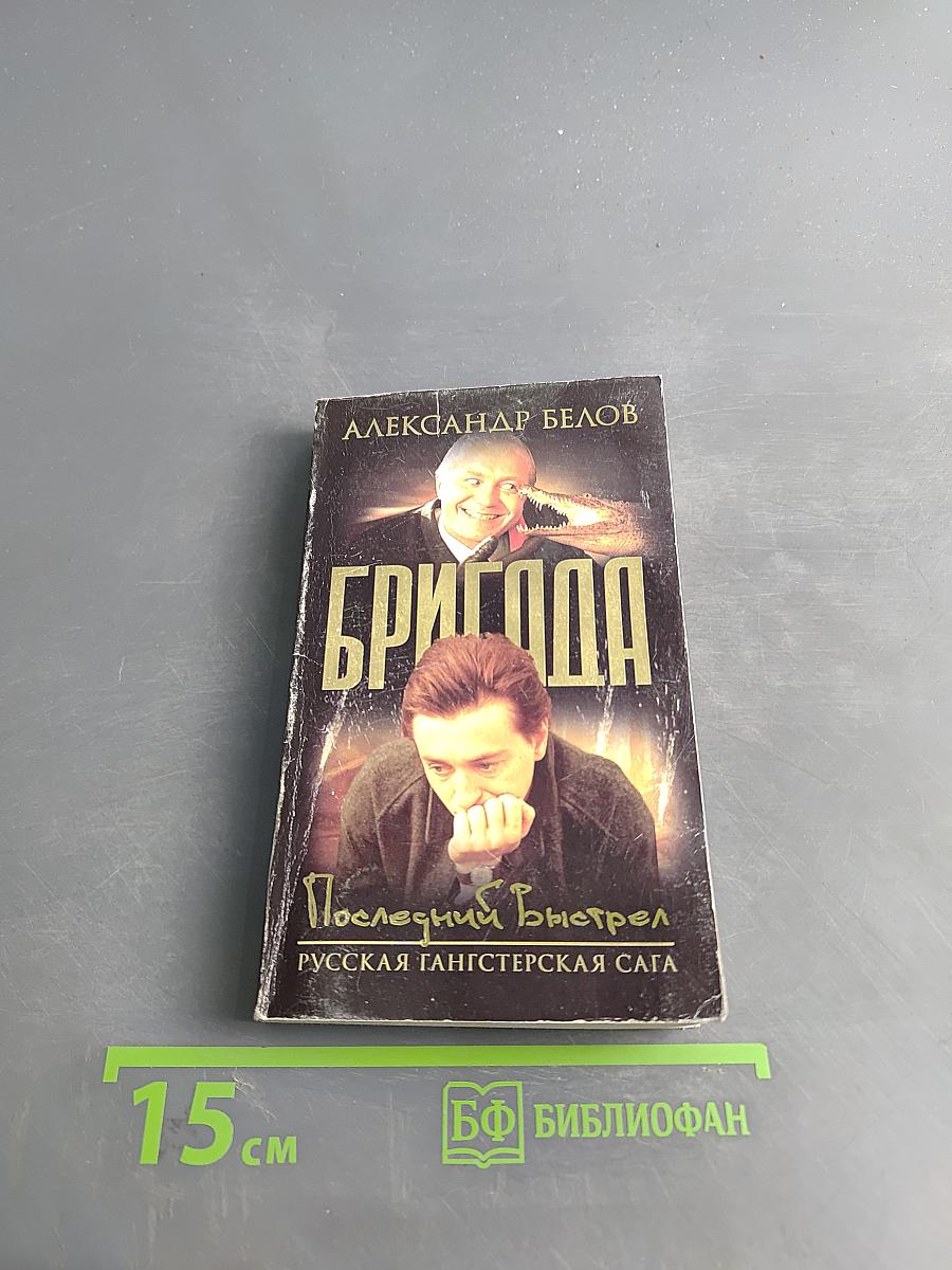 Бригада. Последний выстрел. Книга 4