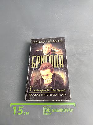 Бригада. Последний выстрел. Книга 4