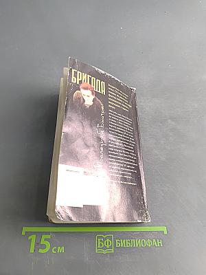 Бригада. Последний выстрел. Книга 4